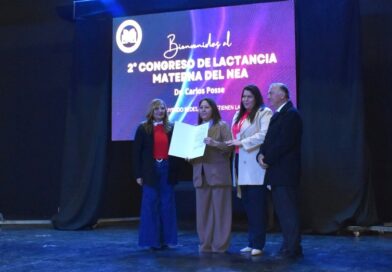 ”CONSTRUIR REDES QUE SOSTIENEN VIDA”: CHACO REUNIÓ A ESPECIALISTAS PARA PROMOVER Y PROTEGER LA LACTANCIA