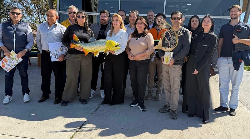 ECOM LLEVA CONECTIVIDAD, TECNOLOGÍA E INNOVACIÓN A LA FIESTA INTERNACIONAL DE LA PESCA DEL DORADO